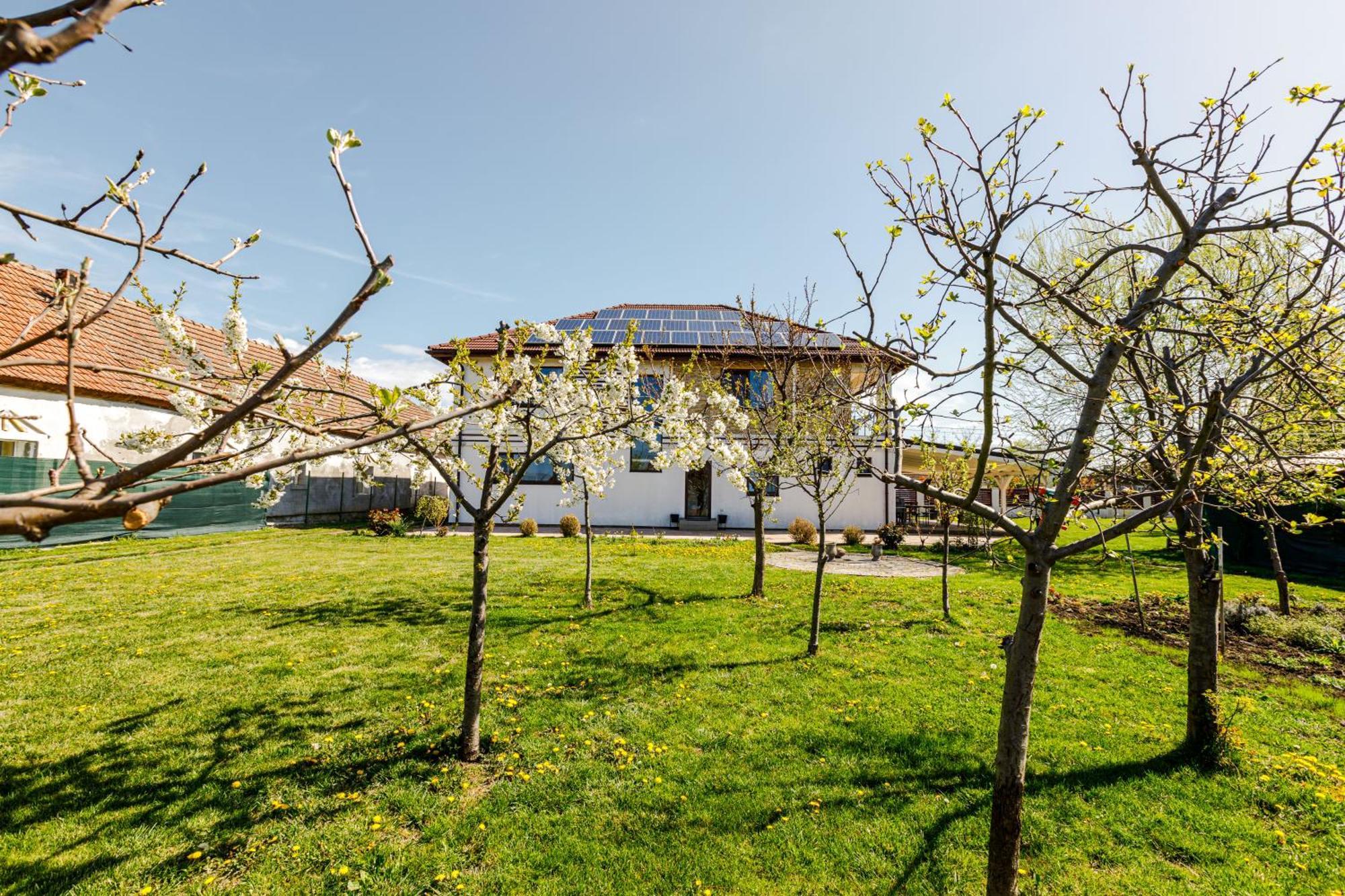 Gasthaus Sacalaz Hotel Timisoara Ngoại thất bức ảnh
